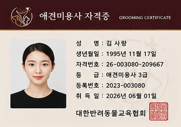 자격증 카드형 예시