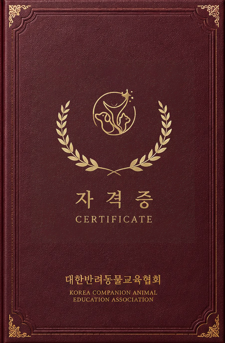 자격증 상장형 케이스 예시